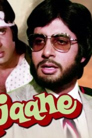 فيلم Do Anjaane 1976 مترجم كامل HD اونلاين