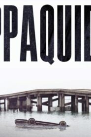 فيلم Chappaquiddick 2017 مترجم كامل HD اونلاين