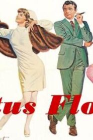 فيلم Cactus Flower 1969 مترجم كامل HD اونلاين