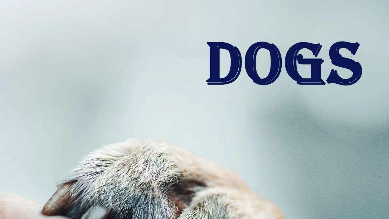 مسلسل Dogs الموسم الاول الحلقة 1 الاولي مترجمة اونلاين