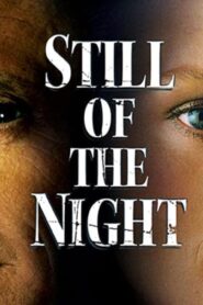 فيلم Still Of The Night 1982 مترجم كامل HD اونلاين