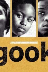 فيلم Gook 2017 مترجم كامل HD اونلاين