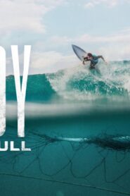 فيلم Envoy: Shark Cull 2021 مترجم كامل HD اونلاين