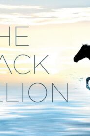 فيلم The Black Stallion 1979 مترجم كامل HD اونلاين