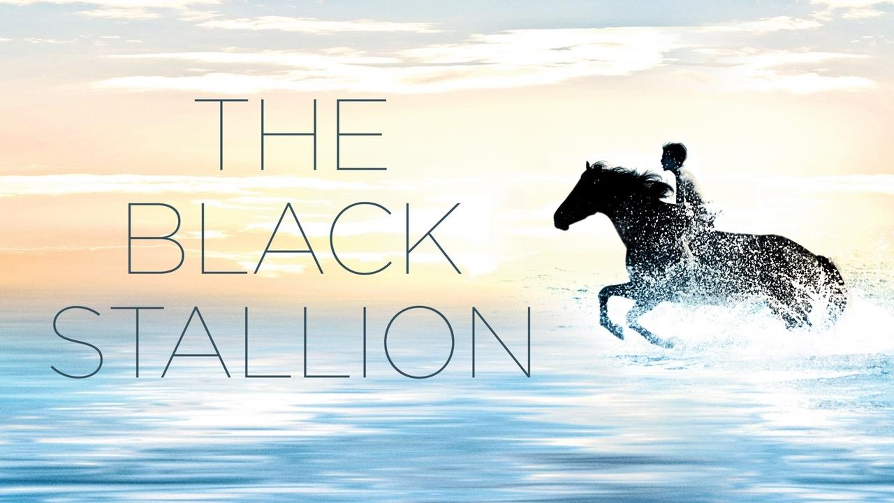 فيلم The Black Stallion 1979 مترجم كامل HD اونلاين