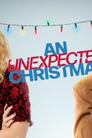 فيلم An Unexpected Christmas 2021 مترجم كامل HD اونلاين